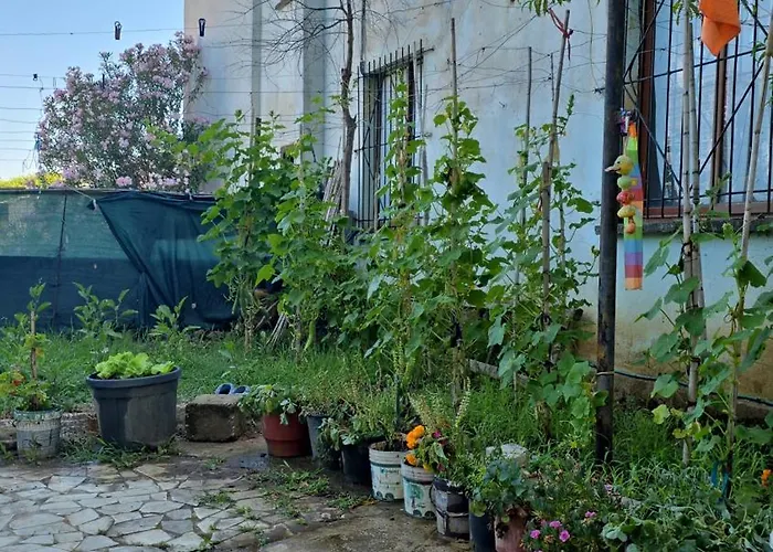 People House Feriehus